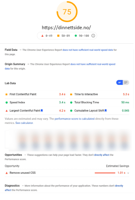 Google PageSpeed verktøy